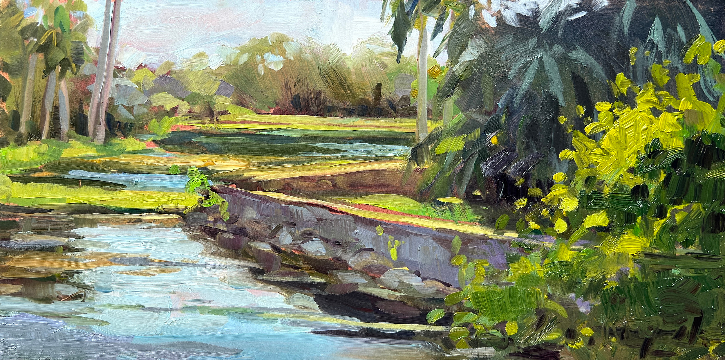 Contained Palms, 2023
6 x 12 in. Oil on Panel
Painted En Plein Air
Fairchild Tropical Botanic Garden, Coral Gables, FL